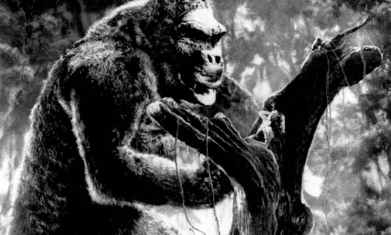 EN FOTOS. ¡Sin ellos, no habría “Película de Miedo”! Las 12 reinas del grito de culto que hicieron gritar el cine de terror EN FOTOS. ¡Sin ellos, no habría “Película de Miedo”! Las 12 reinas del grito de culto que hicieron gritar el cine de terror